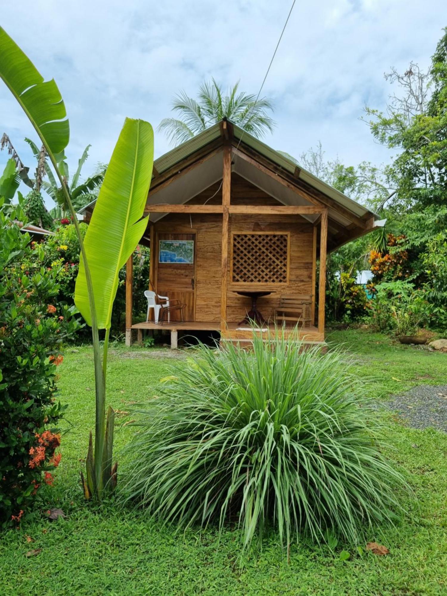 Casa Oasis De Ballenas Uvita Oda fotoğraf